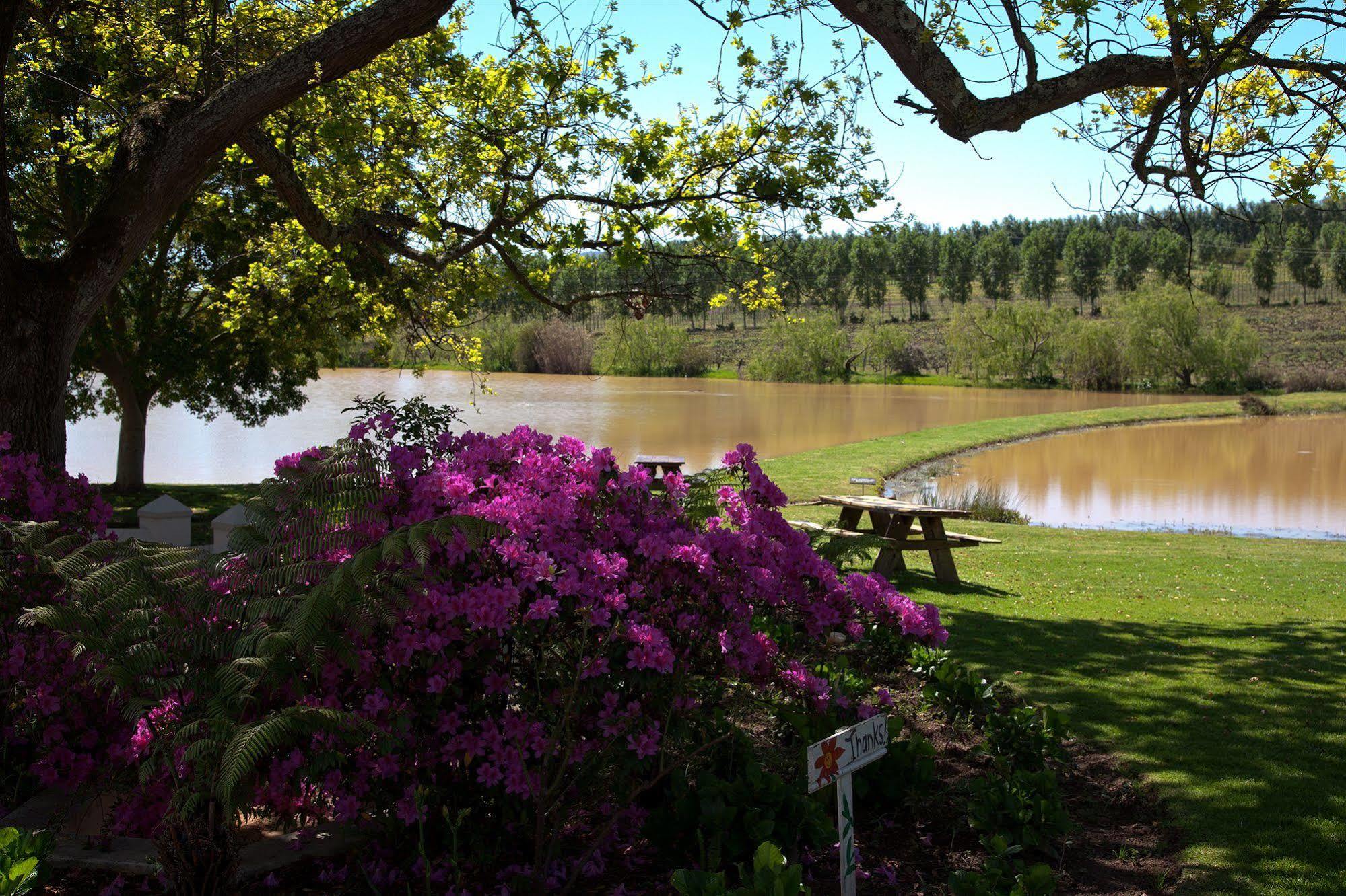 L'Avenir Country Lodge Stellenbosch Bagian luar foto